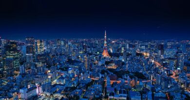 Tokyo Government Dating App Reaches 265 Marriages Formed