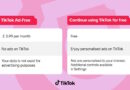 TikTok Launches Ad-Free Subscription in the UK