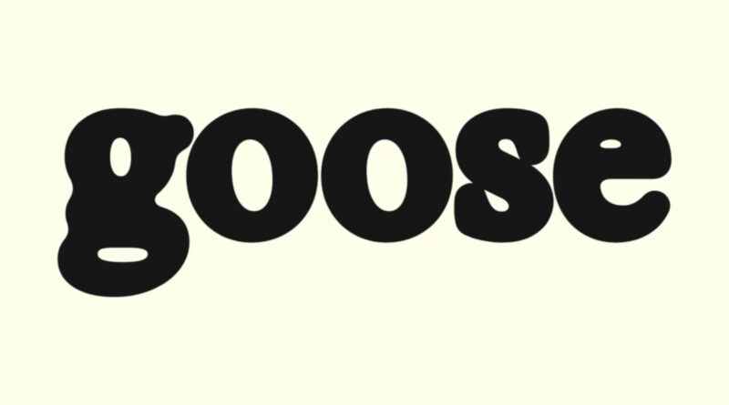 Goose Dating App Launches in the United States